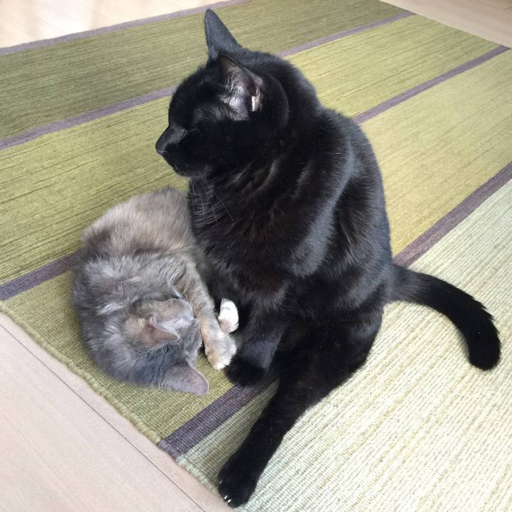 Ae3d5333 a3f0 415d aea9 4e2974a5ba12 1546601831691