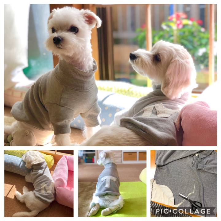 Ae3d69ea 13d3 478f ac47 e7c194773ca2 1572946183218