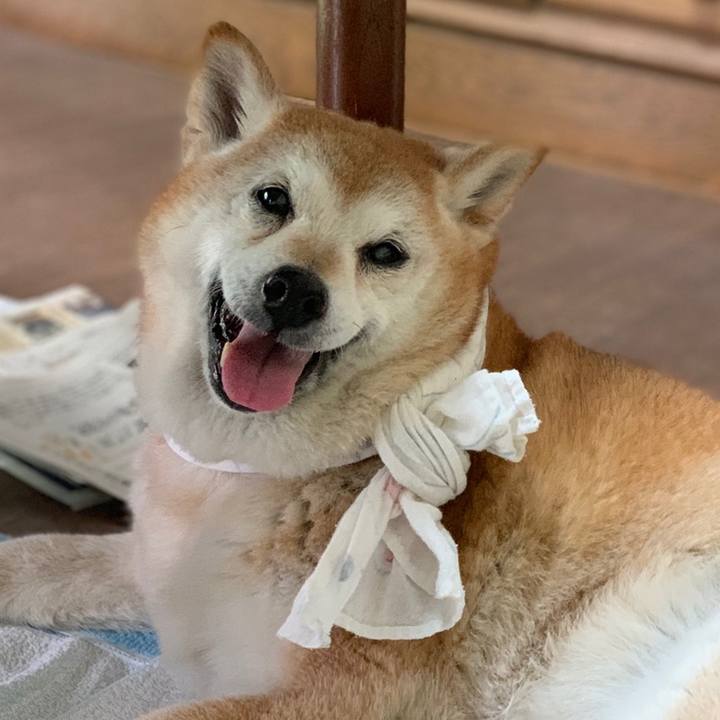 Ae3d8bed d3cc 4680 8a02 a270df38d006 1560411661461