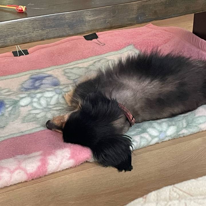 Ae3dacdb 4914 4e19 a799 7db0cbe2420d 1717561424530