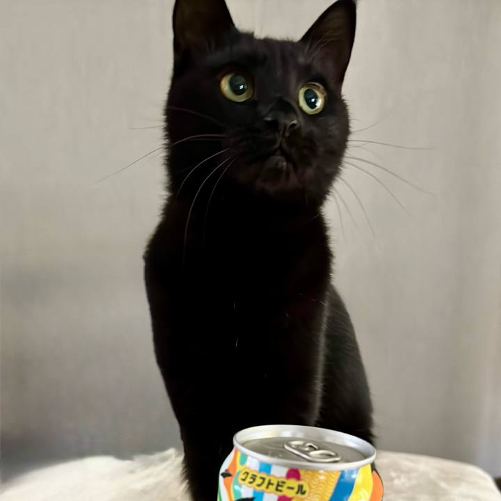 Ae3dcd0b f07d 45d5 b49f 967e30eb0145 1761960294576