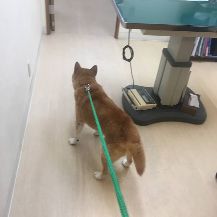 Ae3dce14 0507 4cbb ba4b 994ccb8c2675 1535112745644