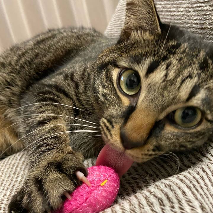 Ae3e2a05 0e3e 496e a210 ba8003869e85 1644145539040