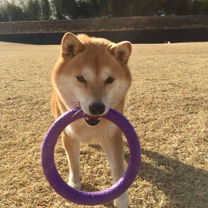 Ae3e5e54 bb42 4e7c 8b08 d849db63b85b 1517802278426