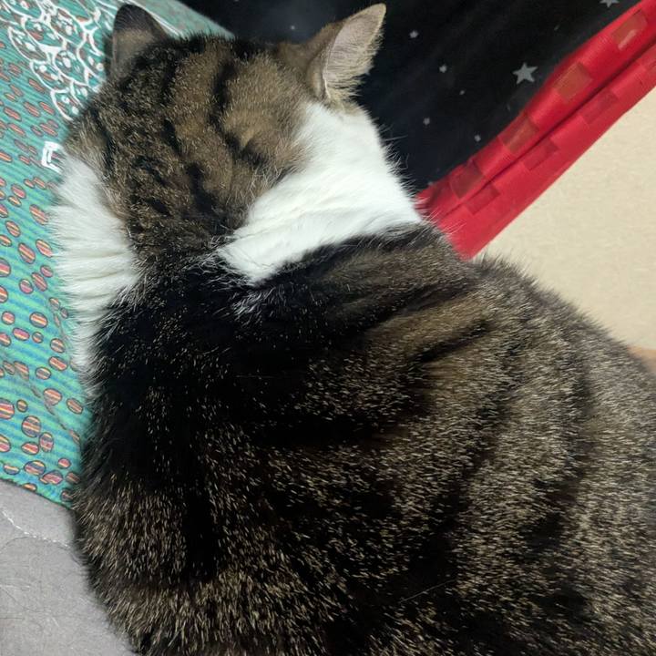 Ae3e85c8 66b1 4fb6 826a 2fbf8c21b5bf 1773972392443