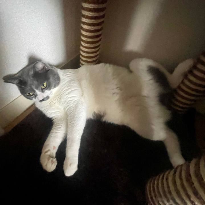 Ae3e8c48 644f 4d75 9884 222a70ac7913 1692411600683