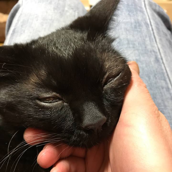 Ae3edad5 7ba4 47bc 9cef 0ece55ef190b 1523764369554