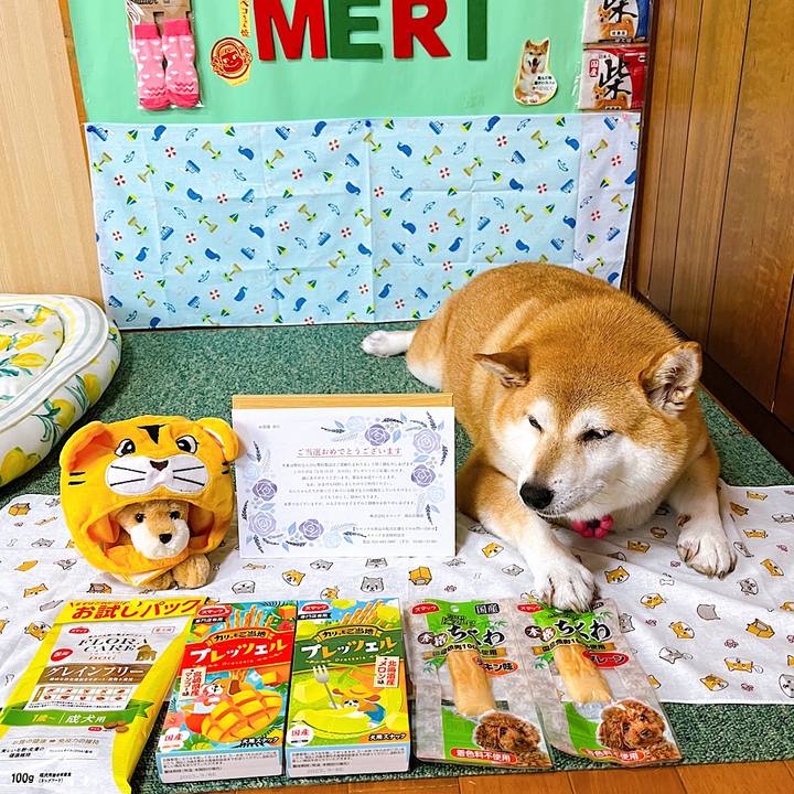 Ae3f0004 f955 46af 8c95 8aab54544eb6 1657677558516