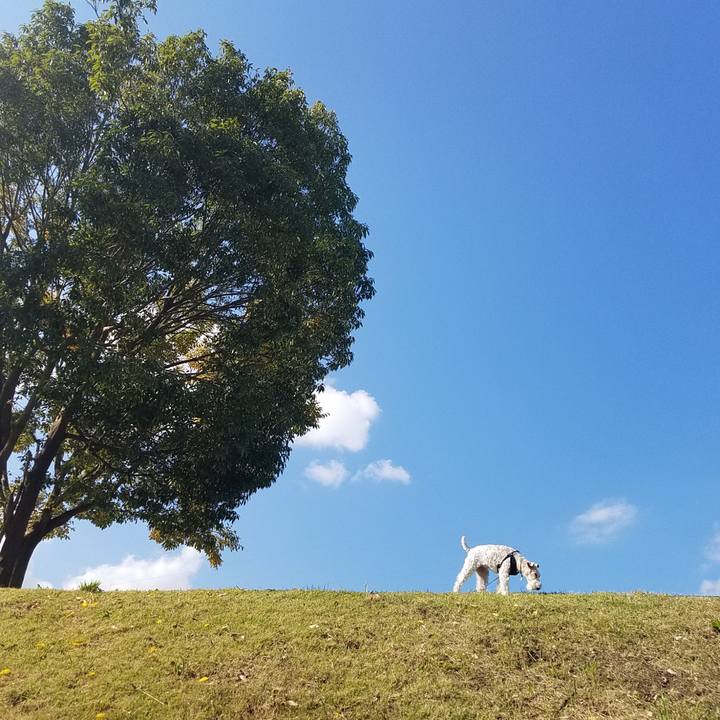 Ae3f1da4 b4ba 4bba bcd5 b92d2bc2586c 1541823166166