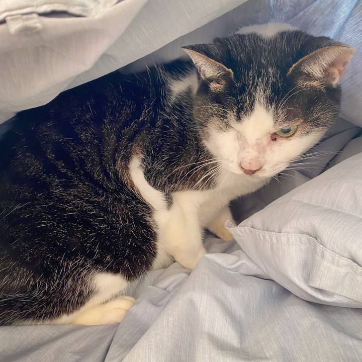 Ae3f2107 411a 4818 8a0c ca6f2415f99e 1611876170223