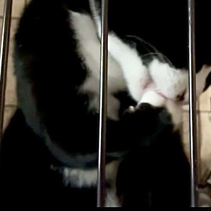 Ae3f330f 7034 4646 ad62 34766219d939 1746964105767