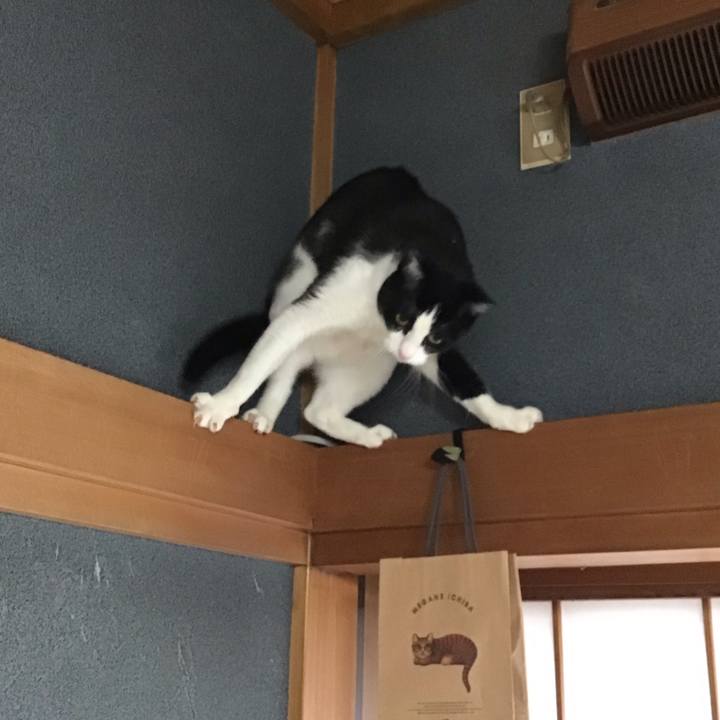 Ae3f3867 748a 4e34 a637 792c07538c2b 1696842328858