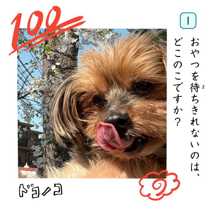 Ae3f7fc7 87c7 42b1 b101 809051bbfbe4 1744260765712