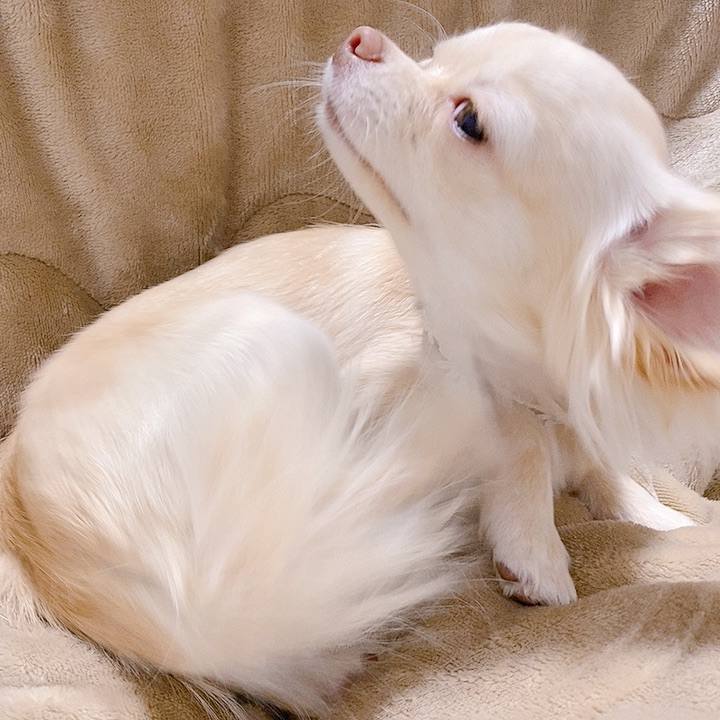 Ae3f8d38 4b93 41fd a03d 057e6d9f2726 1607934489901