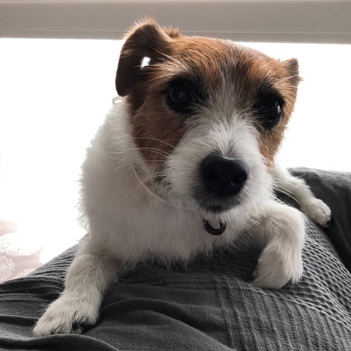 Ae3fd9c2 9b03 4115 9e9f 900822e72f46 1603974971745