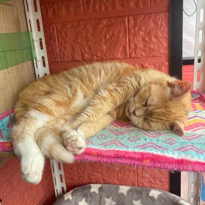 Ae402f9f 6a16 41f4 b9a1 5b60d61b57fa 1622898373132