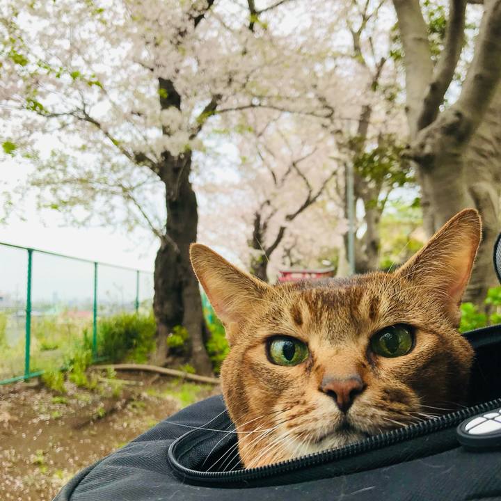 Ae408453 eb30 4a94 b2f1 2e8dc8a6b172 1764211947131