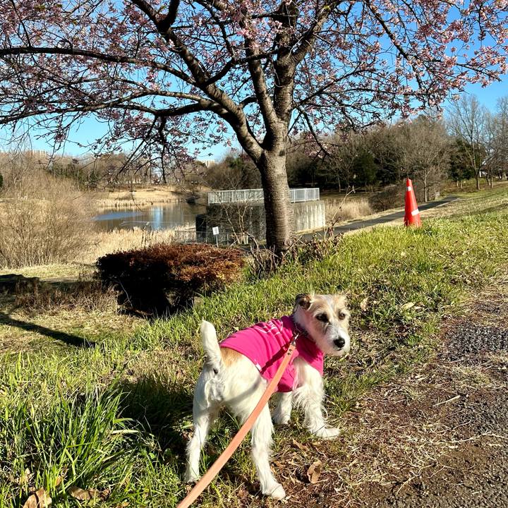 Ae408cd9 f7a2 47f4 80b7 d3bb5d12494f 1709103961678