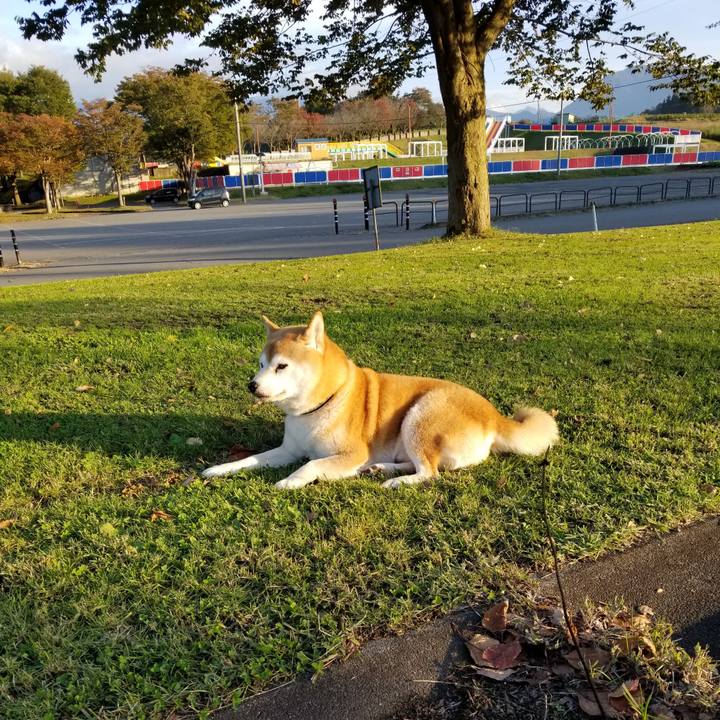 Ae4098b4 5e65 45b6 9481 e7c684166e6a 1635059207440