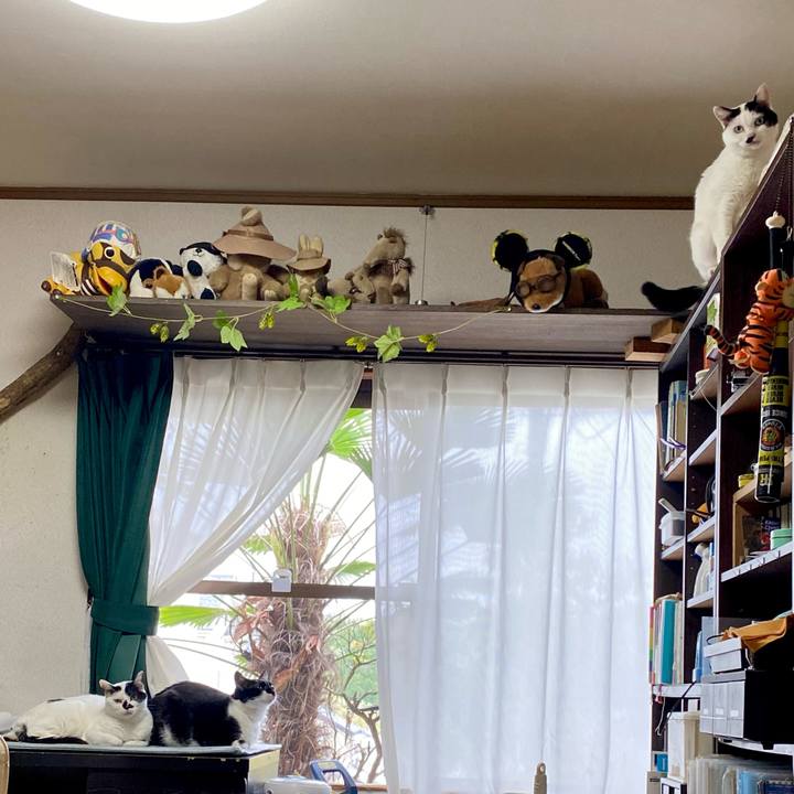 Ae40a19e 604d 463e b405 25223d8eb88d 1649985418973