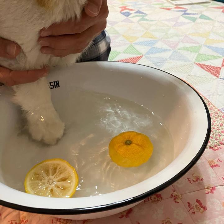 Ae40bc51 5d5c 49d0 96b3 a88424435c28 1766461349155