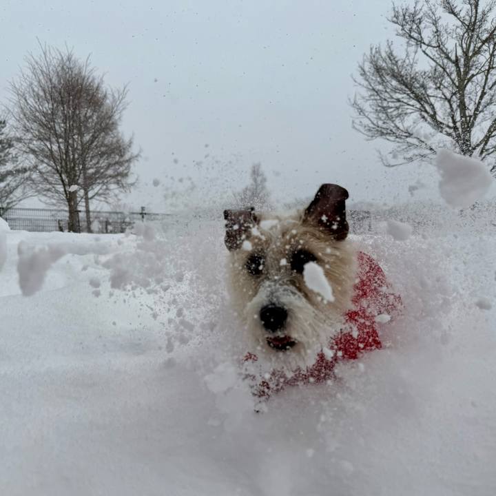 Ae40fc54 5969 4cd2 8fd1 a058d2330828 1769694296010