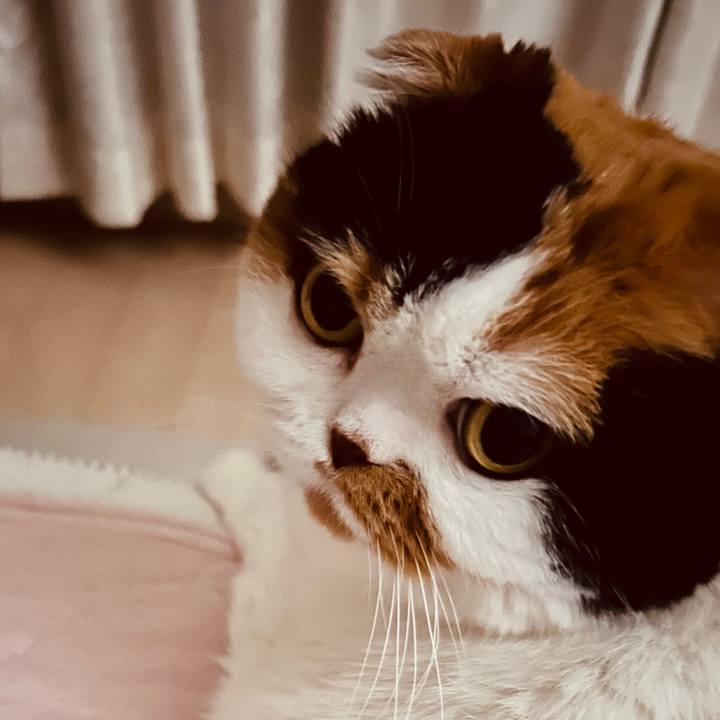 Ae413b96 521b 46a7 86f9 f9910ac89ffb 1724140251306