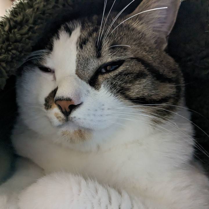 Ae413cfc d90a 4c5c ac24 da91e5e46906 1699872682321