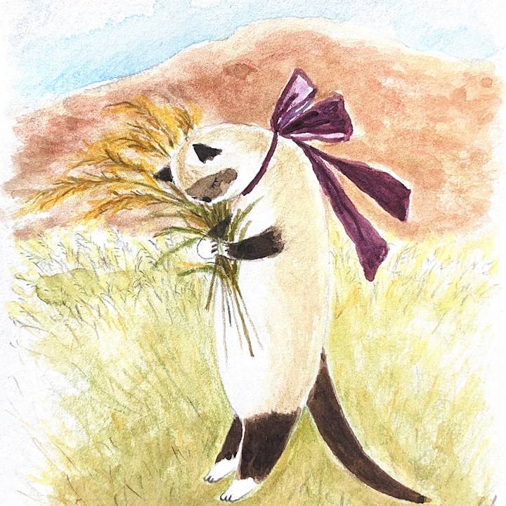 Ae4150ad 8685 4cdd 85fc fc5e98a67040 1731720052700