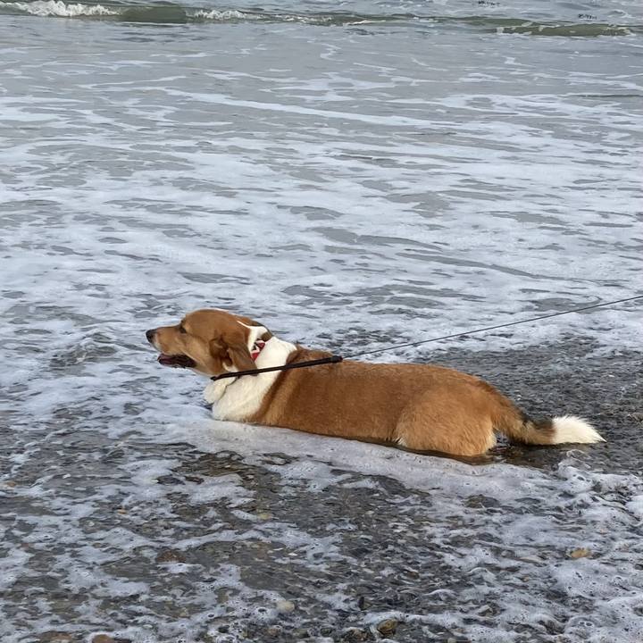 Ae41600b 43d1 4117 9944 f3246ecd5715 1692107223751