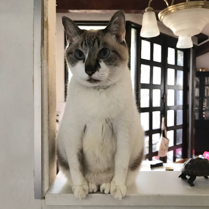 Ae417502 c24d 415f 89b0 6f7efecac5d8 1526858466075