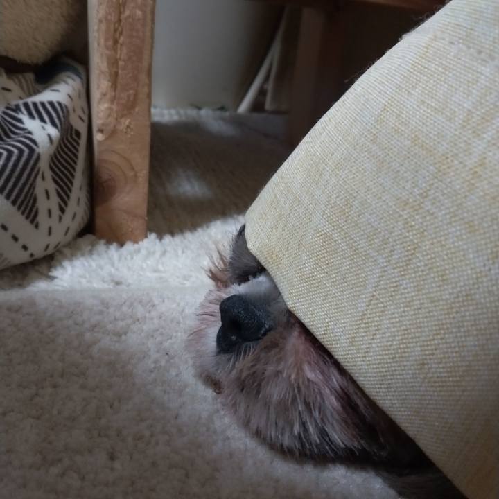 Ae41850b d7d0 4322 9967 d744f9d348f3 1627385251675