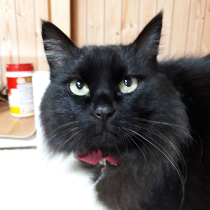 Ae41c4a5 b4e1 406b bd7d bd04fb549313 1517434148561