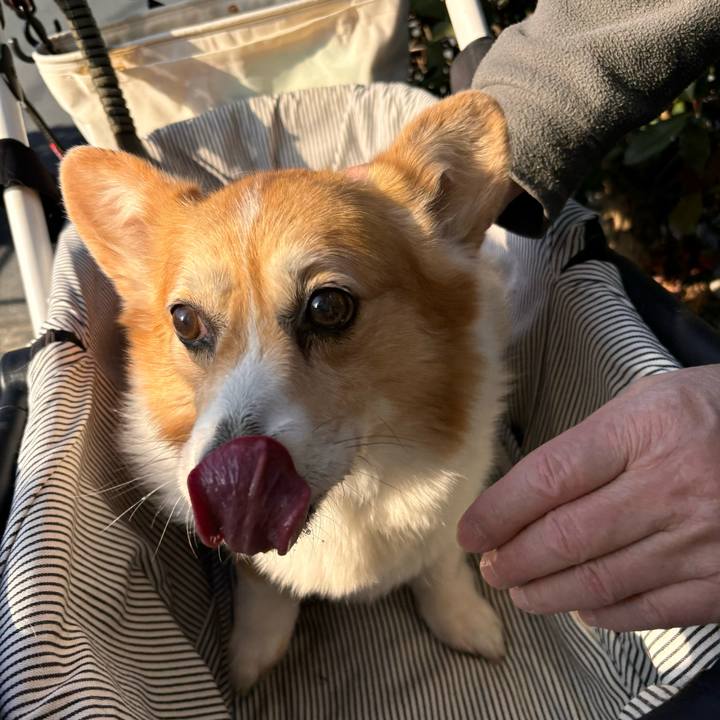 Ae41de5f 27c6 45cb 8c12 e470f5d20cb9 1768535836302