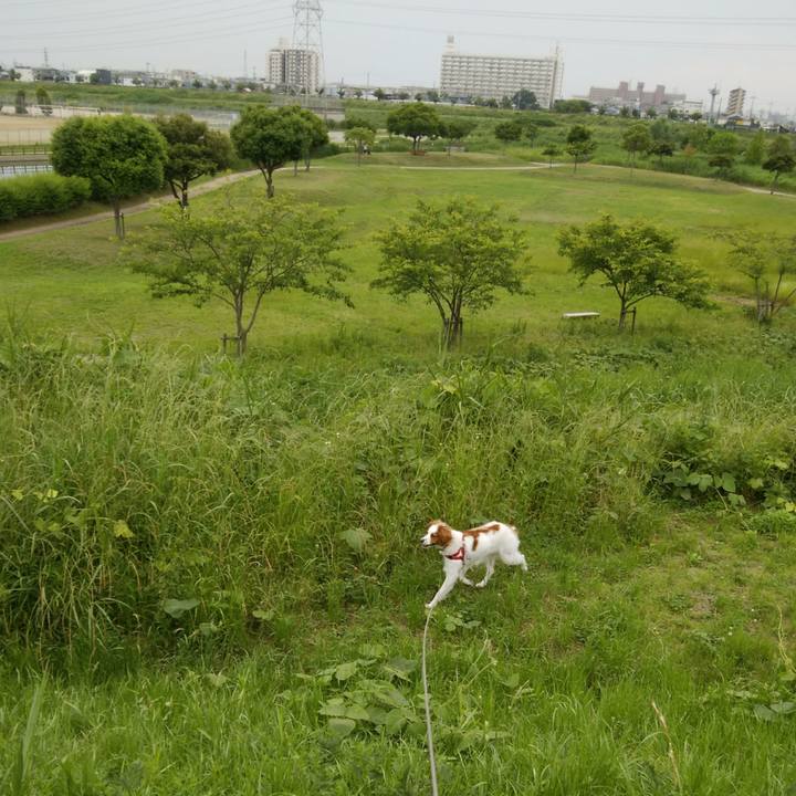 Ae41edd8 476f 4bea 95a7 e7fbd1c815ad 1527584536313