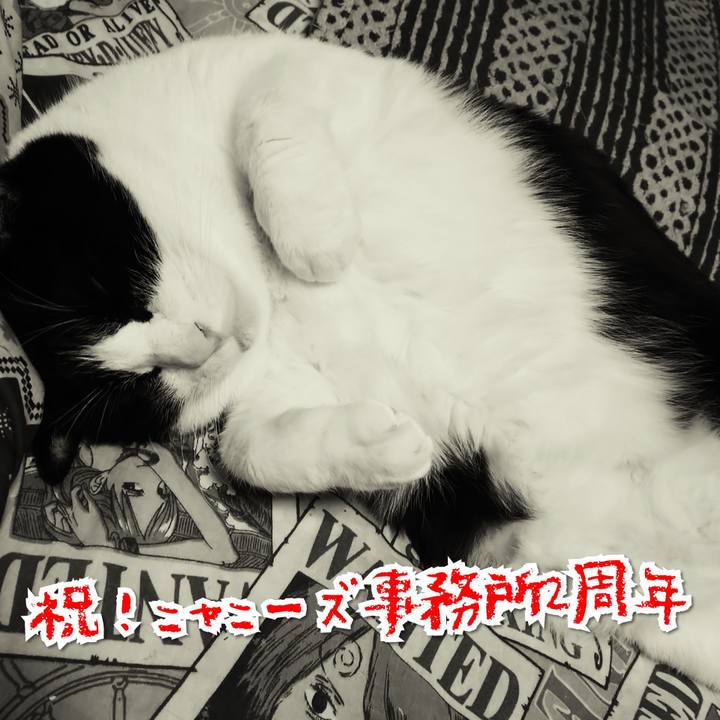 Ae41efbd bf02 4a5b bdef 03af412597aa 1582719304377