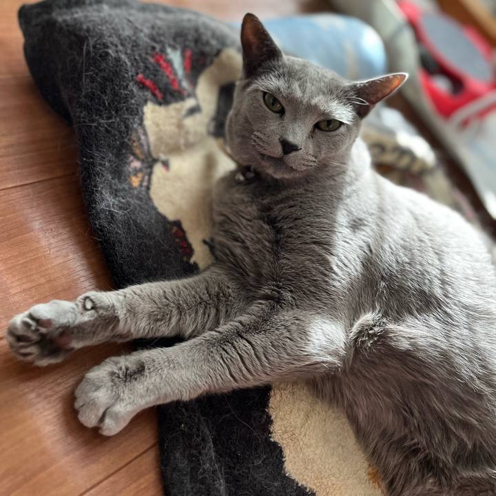 Ae41ff2a ba67 4284 8618 e93663c09489 1704678314335