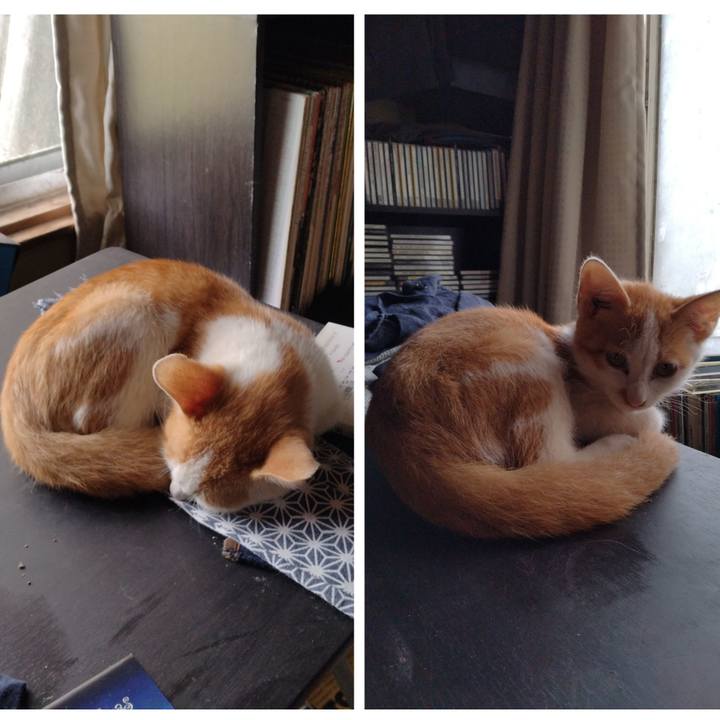 Ae4210ad bb4c 4d31 a1e6 70f8e80b971e 1726555880418