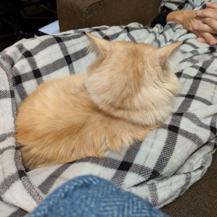 Ae42188e 6003 4b61 9531 412478c2aaf1 1734792657550