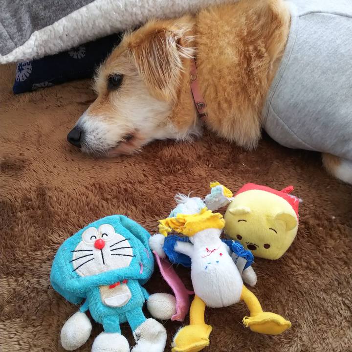 Ae42264b aeb4 467e b158 7b2d5dc72829 1547434782911