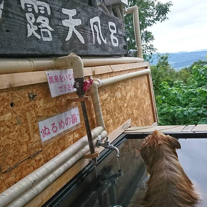 Ae42f1c4 4582 4dd3 83e6 c0f0a528f2e6 1536405766594