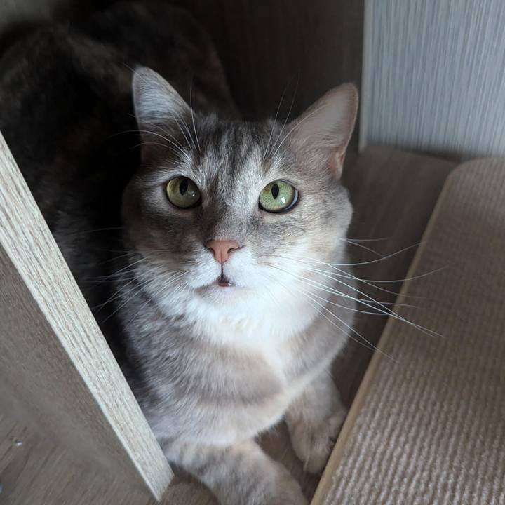 Ae4332f9 e86e 4481 a44a 978fdee8266c 1725100801098