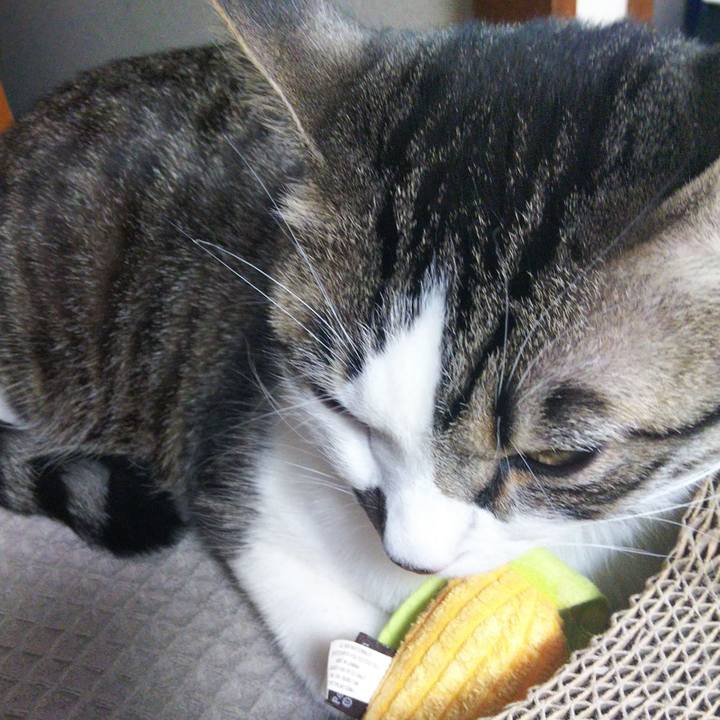 Ae436ed4 ce52 431e 920f e54e102c65fc 1647165847894