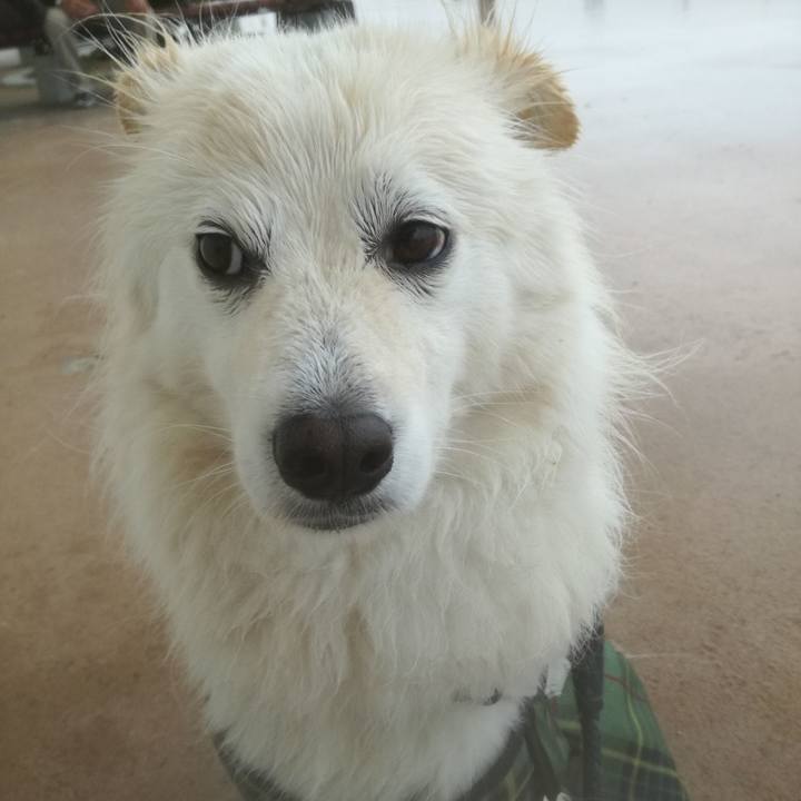 Ae43b115 f6ba 4408 8e91 39965941a53a 1528240808534