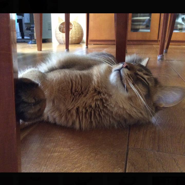 Ae43bd10 7300 45d9 bdeb 3681017c52ca 1589889551164