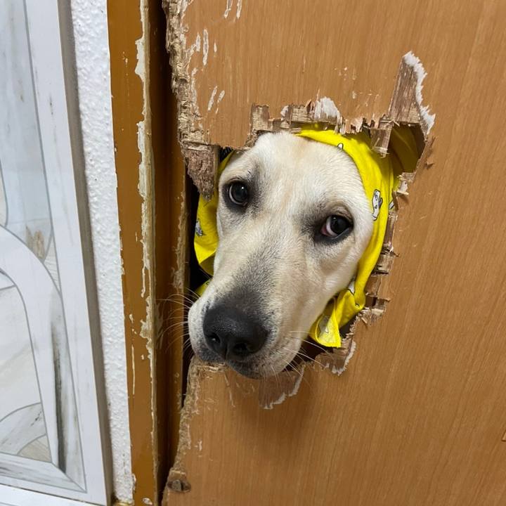 Ae43e925 ff5f 4e38 bd87 fde2a42f92b3 1662079704086