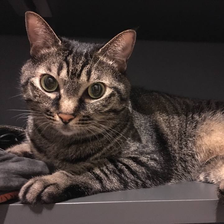 Ae440e2f ae79 482c 9e39 09a9ec0b1b1c 1566974166411