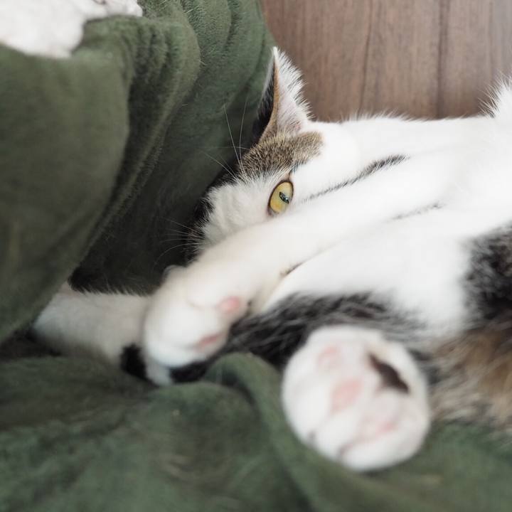 Ae441edd 9526 4e77 b03d 9c977495b625 1541825930852