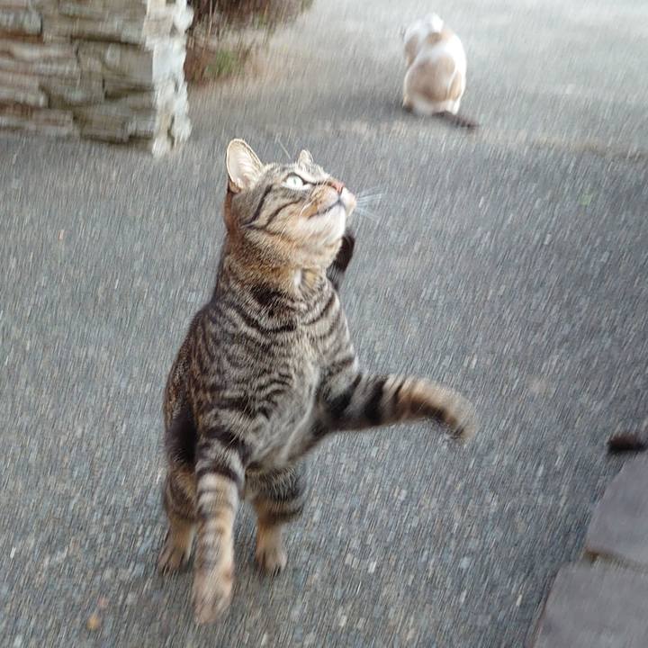 Ae442bfc c5f4 4ae8 866e 5afb7776f138 1646984839798