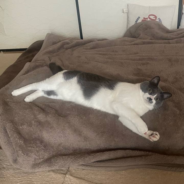 Ae447da5 971c 45e4 a522 b59d597cbee1 1678696973150